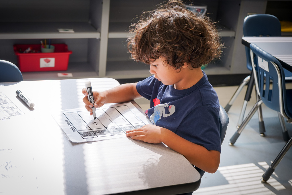 SES Summer Academy