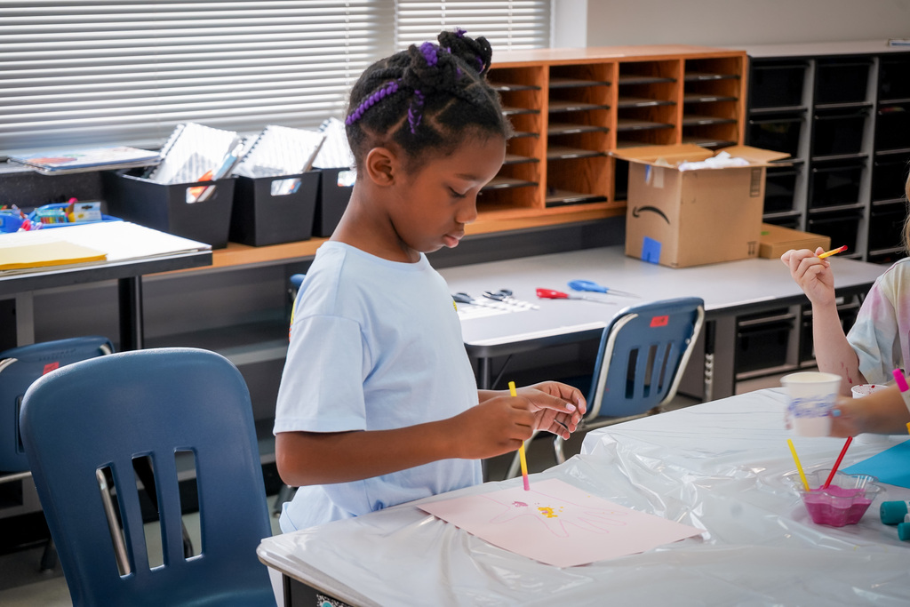 SES Summer Academy