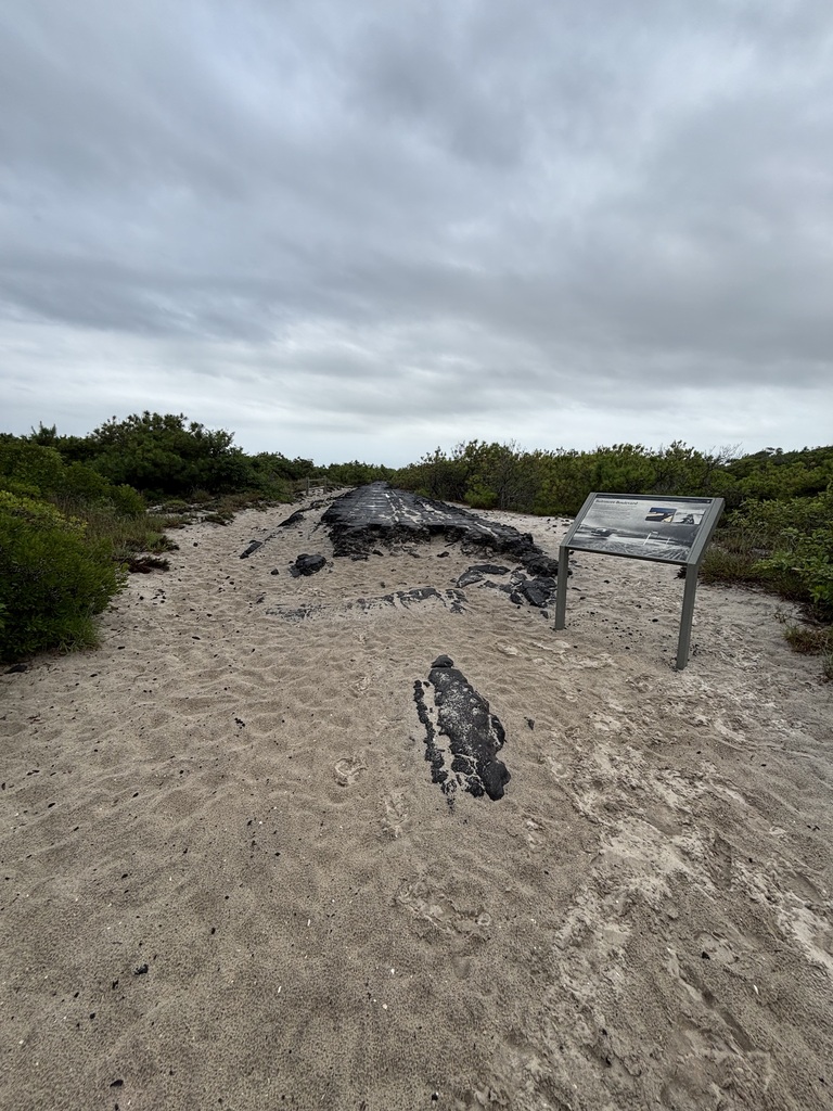 Old Road at Assateague and Marker