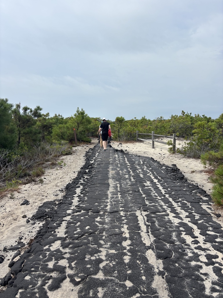 Walking the Old road at Assateague