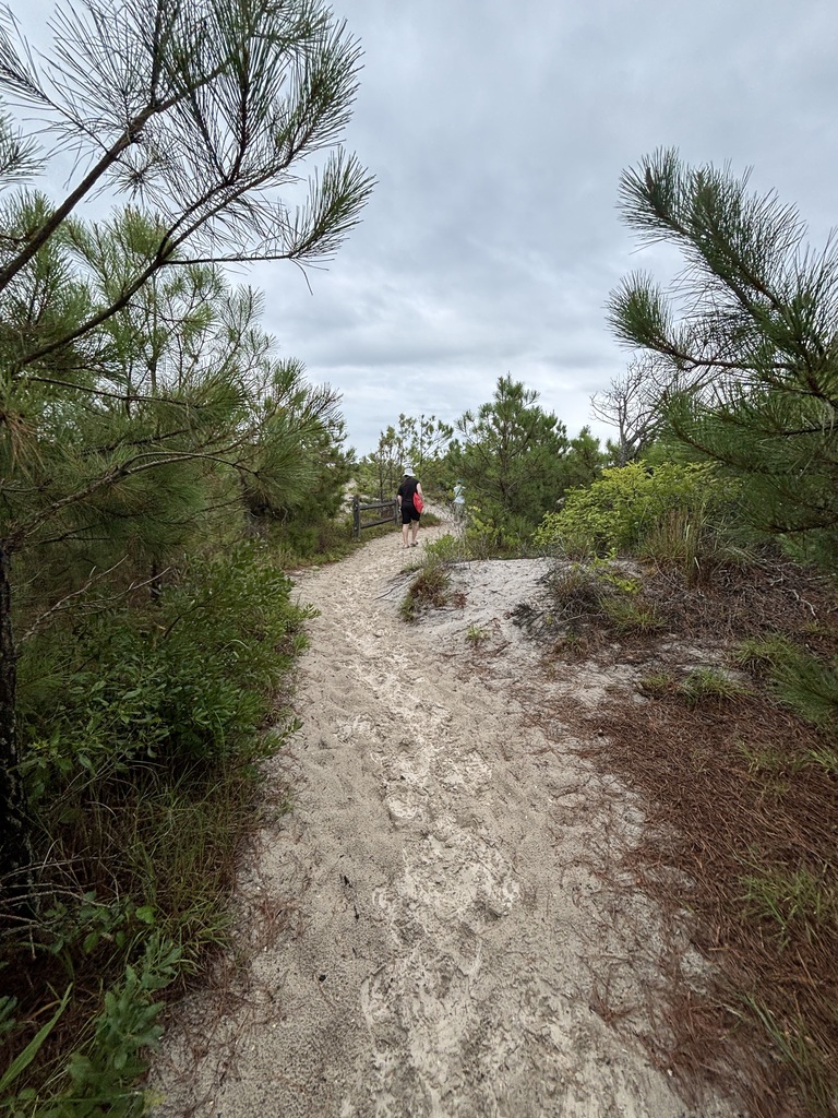 Hiking the Trails of Assateague