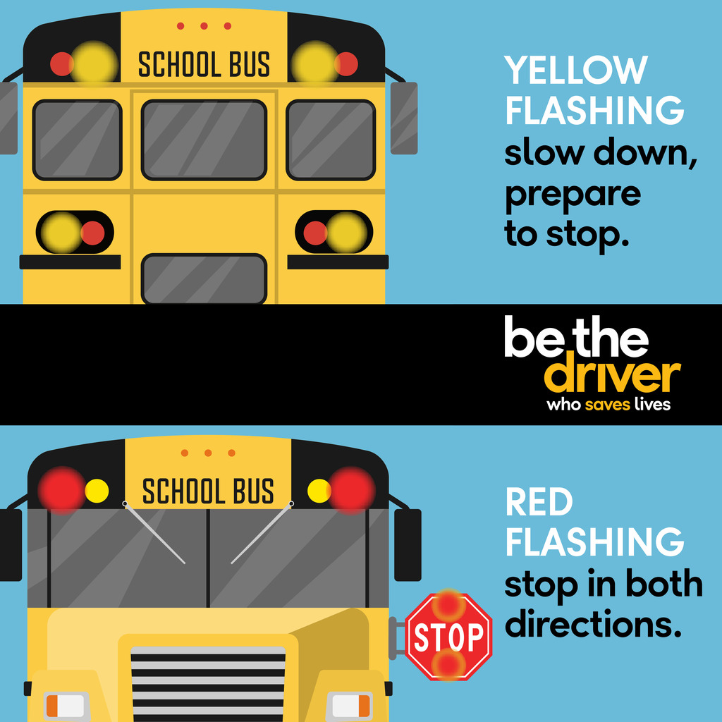 School Bus Safety