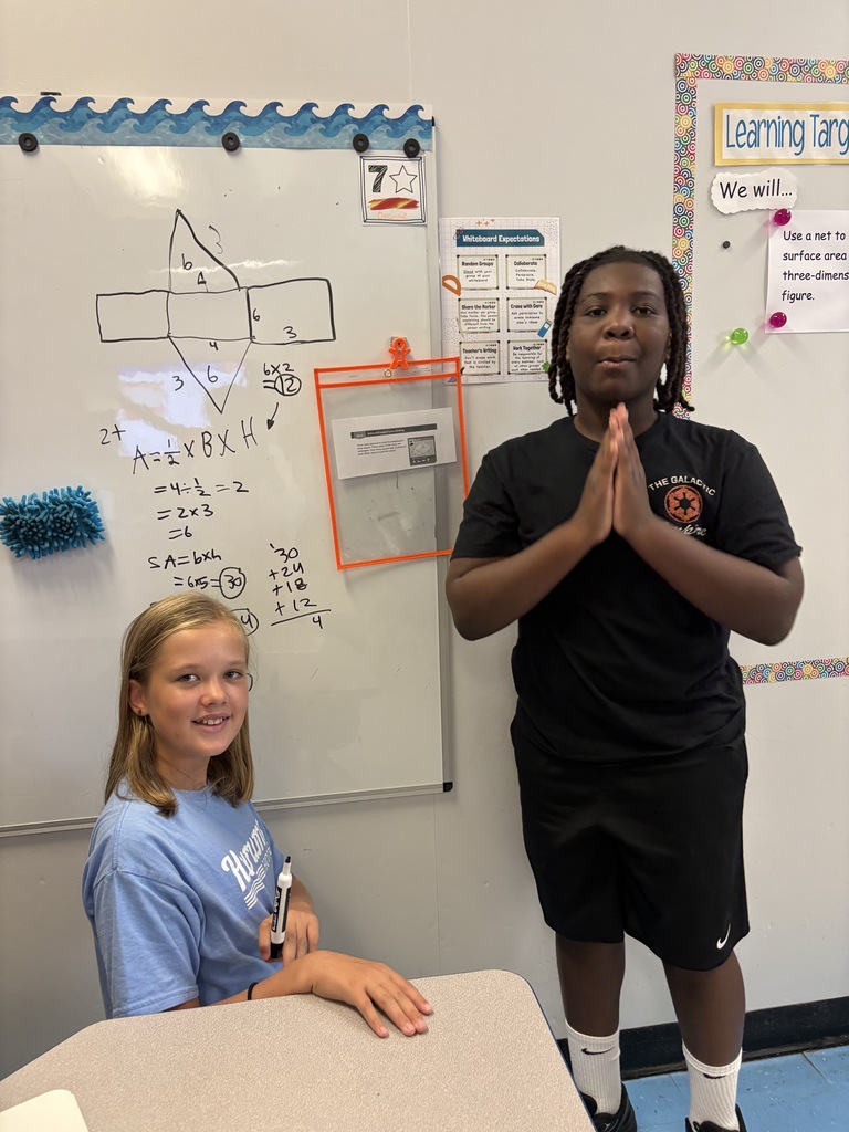 Scafone's class 3