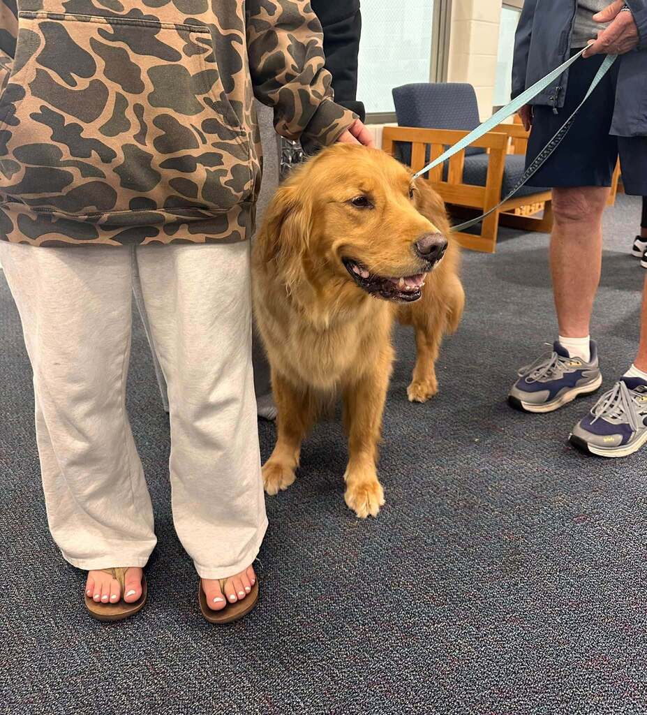 Therapy dog day at SDHS
