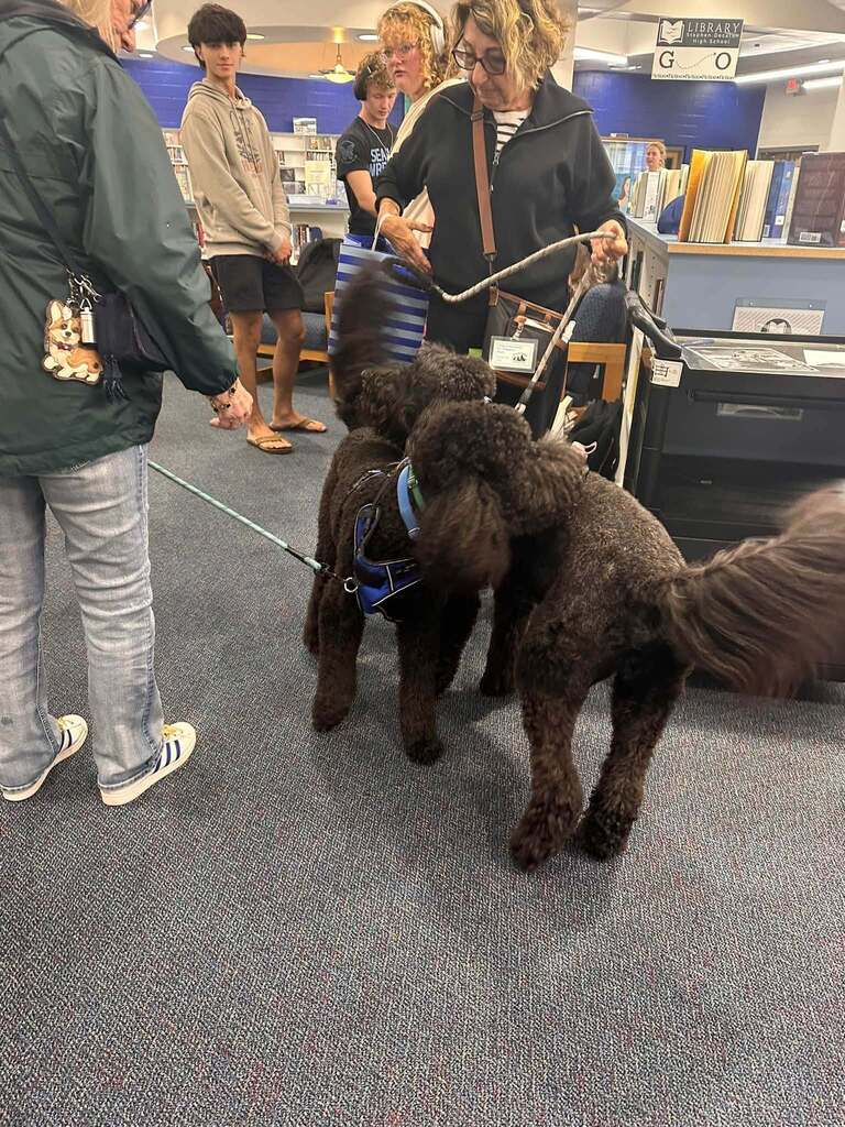Therapy dog day at SDHS