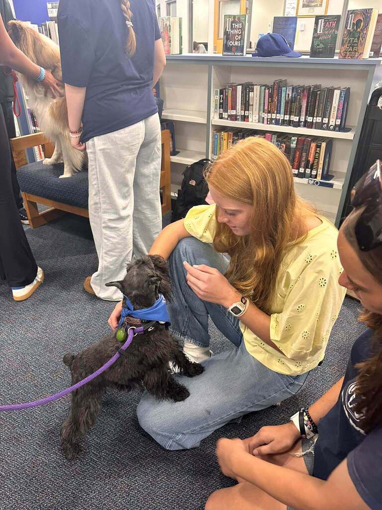 Therapy dog day at SDHS