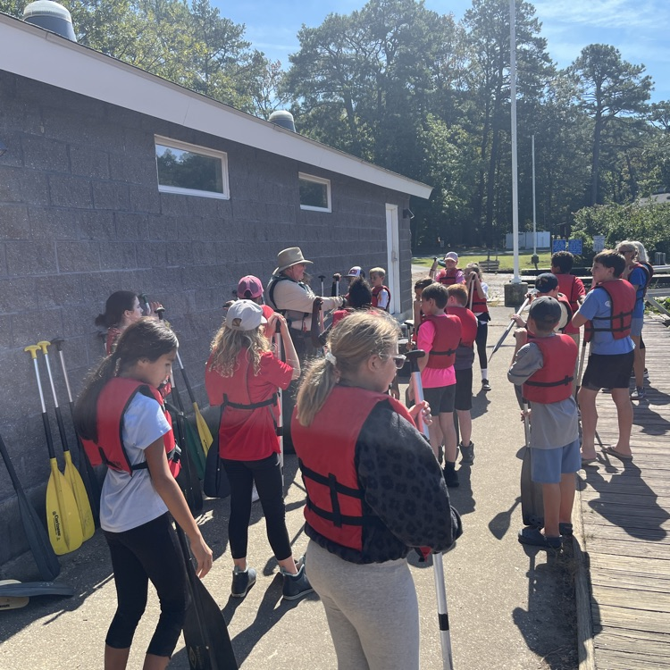 Shad