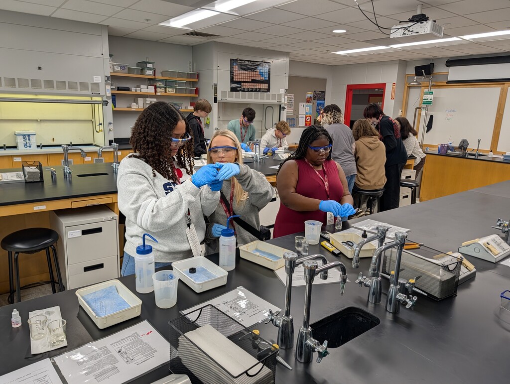 In the Lab Training