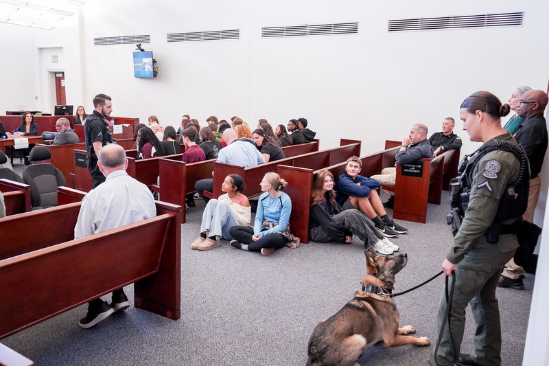 Schools in Court