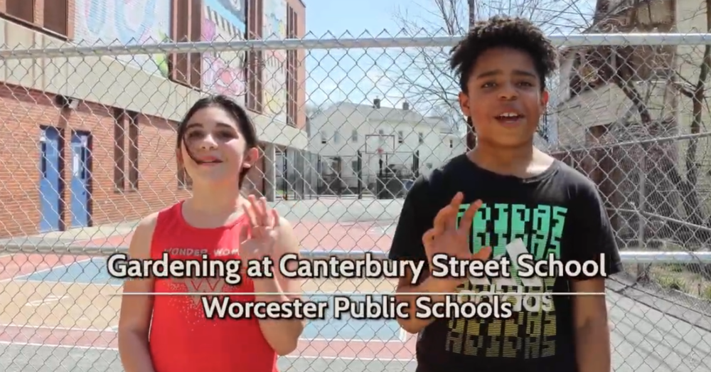 Students wave at the camera during a video.