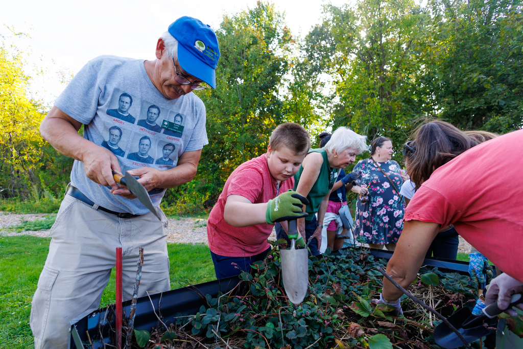 A group of people, including a student, dig for potatoes in a garden bed.