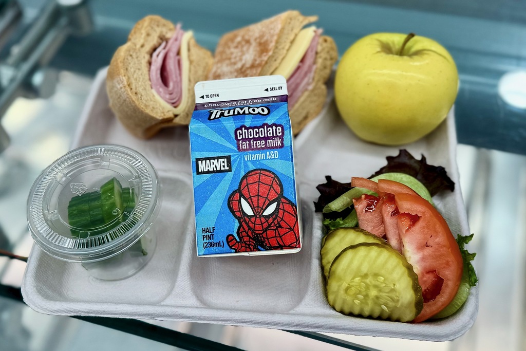 A school lunch tray with a sandwich, apple, salad, pickles, and chocolate milk.