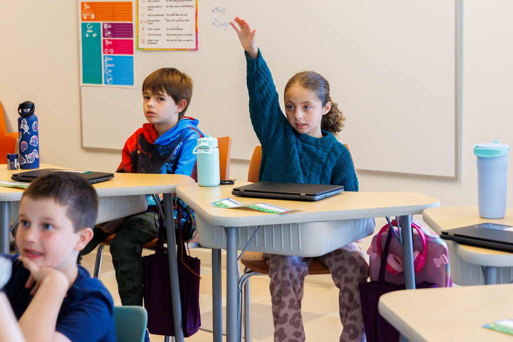A student raises their hand during a lesson.