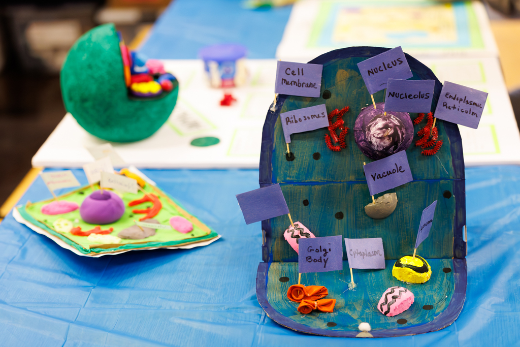 A student project sits on a table during a STEAM Showcase at Lake View.