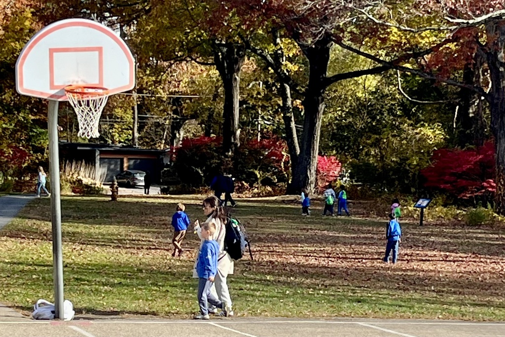 Children and adults walk on a grassy area near a basketball hoop, surrounded by trees.
