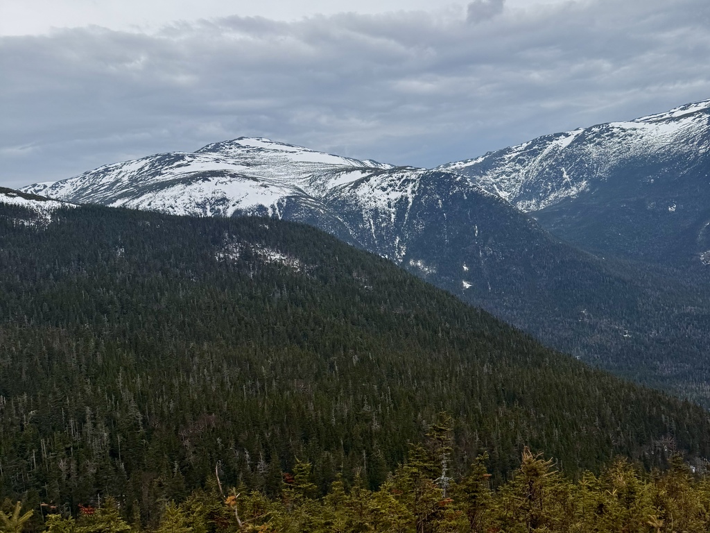 Snow-capped mountain peaks rise above a dense, dark green coniferous forest under a cloudy sky.
