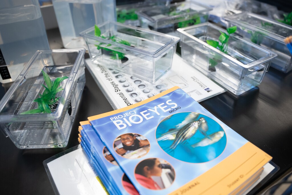 A stack of 'Project BioEyes Micro' brochures with images of fish and children, next to clear containers holding small fish and aquatic plants.