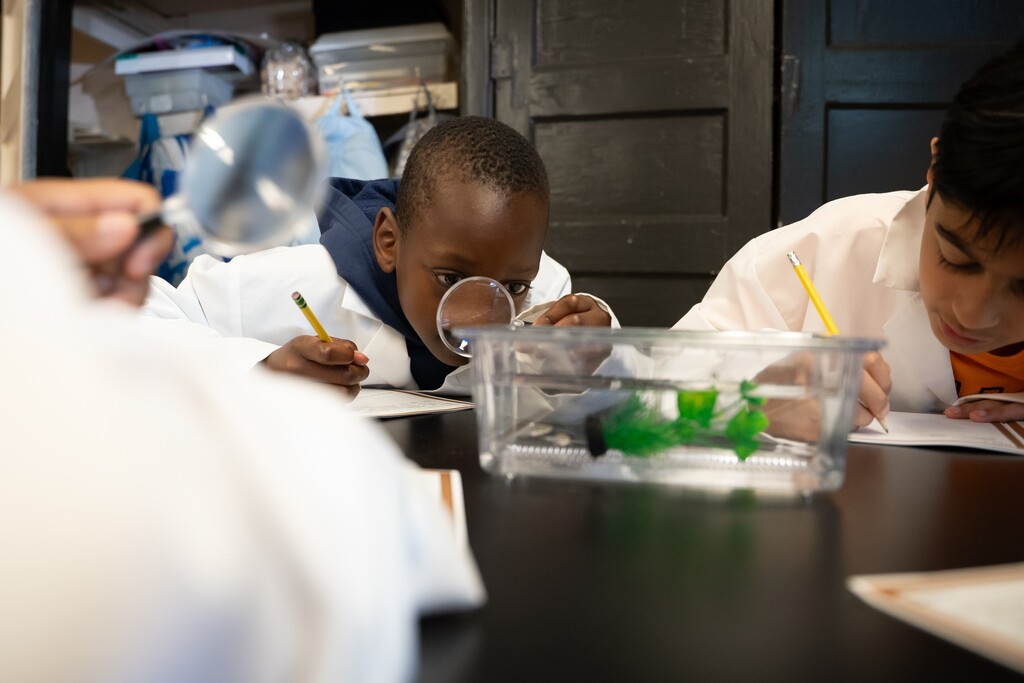 Two children in lab coats examine specimens in plastic containers with magnifying glasses and pencils.