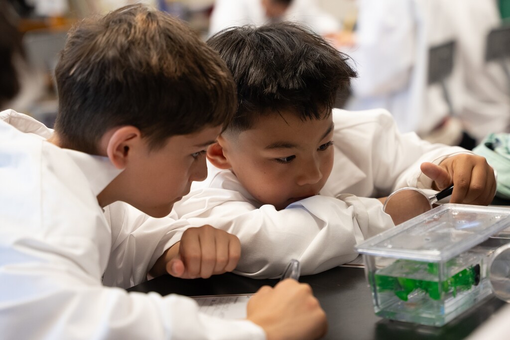 Two young students in lab coats lean over a science experiment in a classroom.