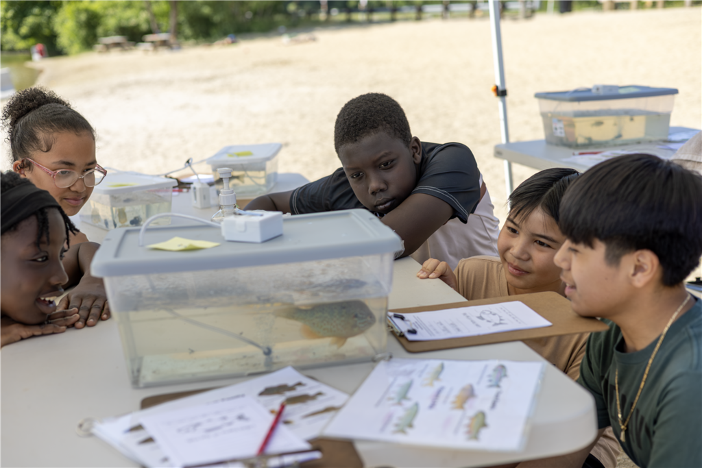 Children observe a fish in a clear tank during an outdoor educational activity.