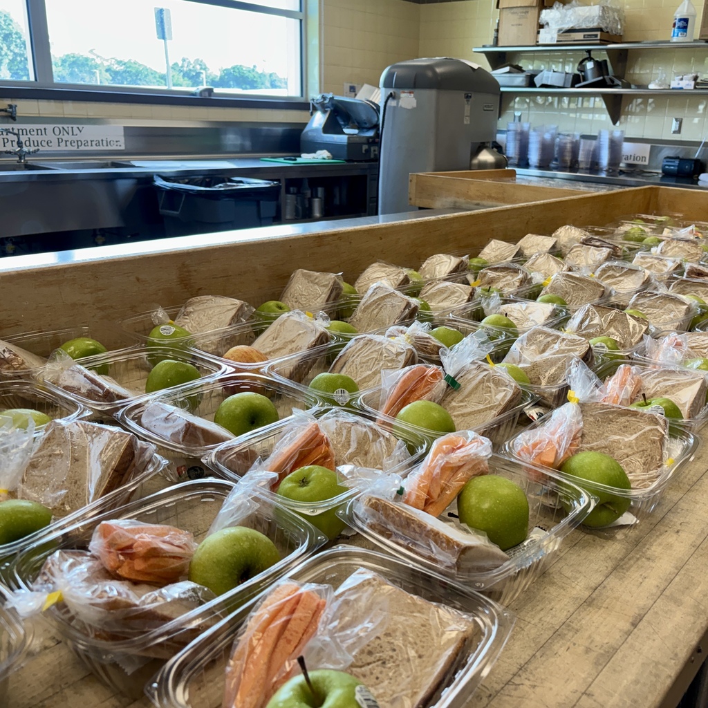 Rows of individually packaged lunches, each containing a sandwich, apple, and carrots, are neatly arranged on a wooden surface.