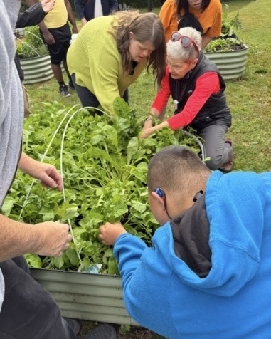 Students and staff in the WPS Transition Program harvest vegetables outside.
