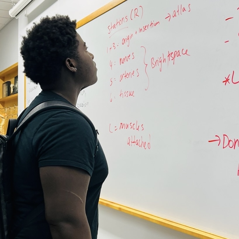 A student stands in a classroom, looking attentively at handwritten notes on a whiteboard.