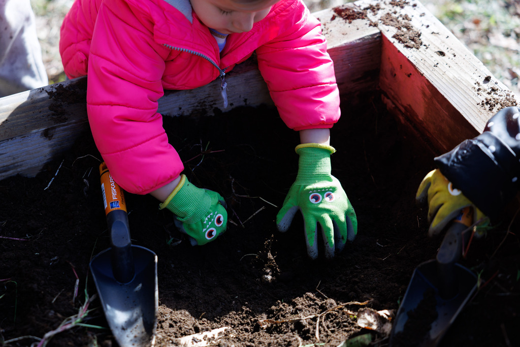 Students dig in the garden with their gardening gloves.