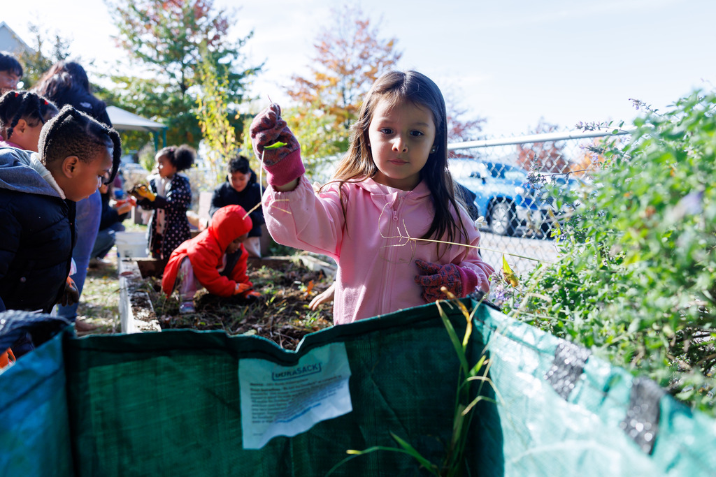 A student throws out weed and debris from the garden.