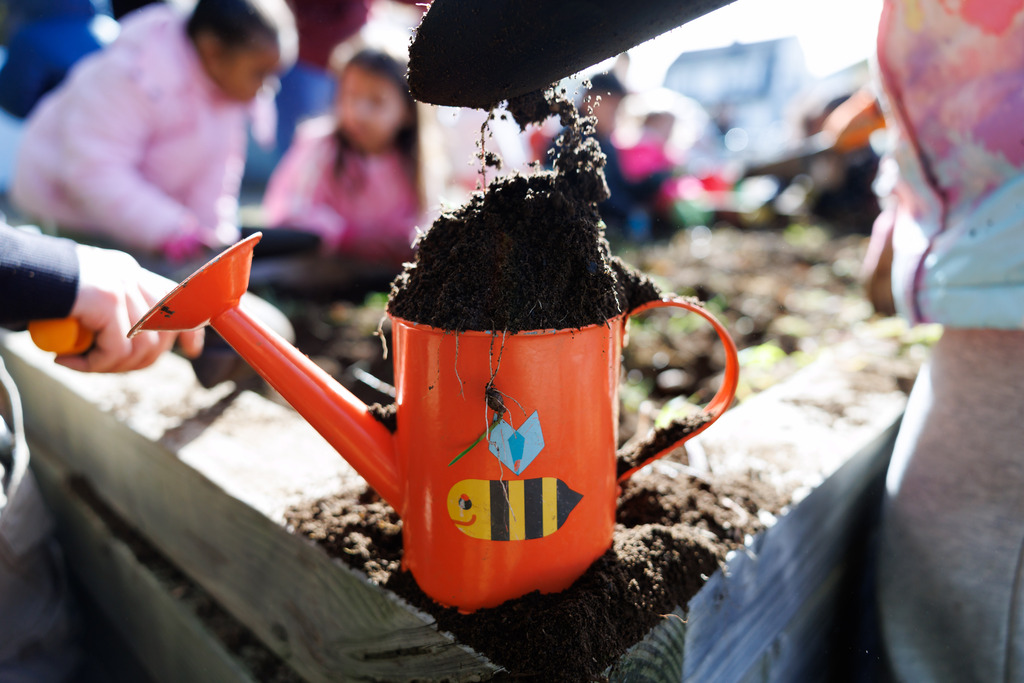 A student dumps dirt into a garden container.