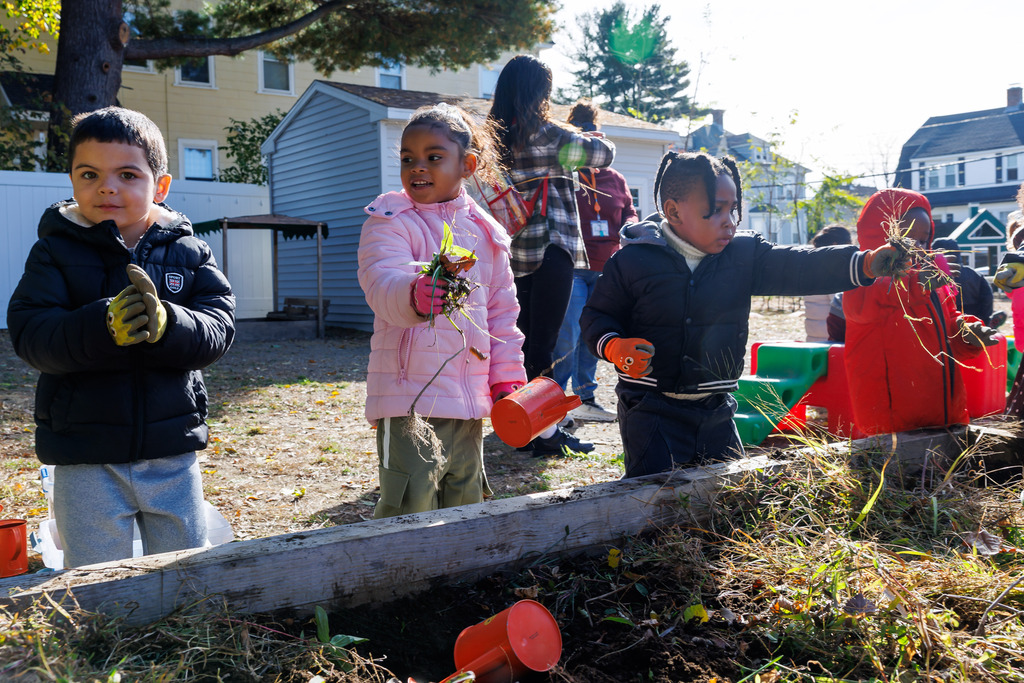 Students harvest the school garden.