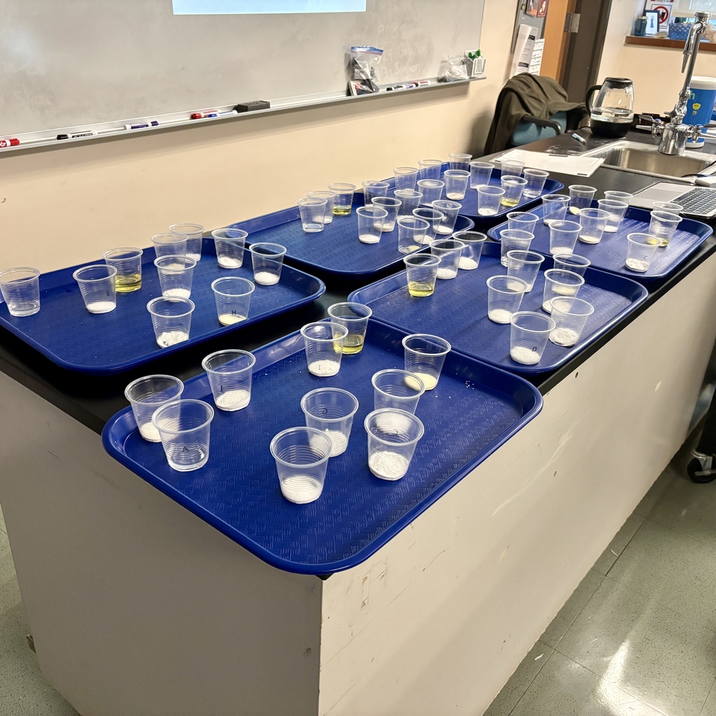 Blue trays hold numerous small plastic cups filled with white powders and yellow liquids in a classroom setting.