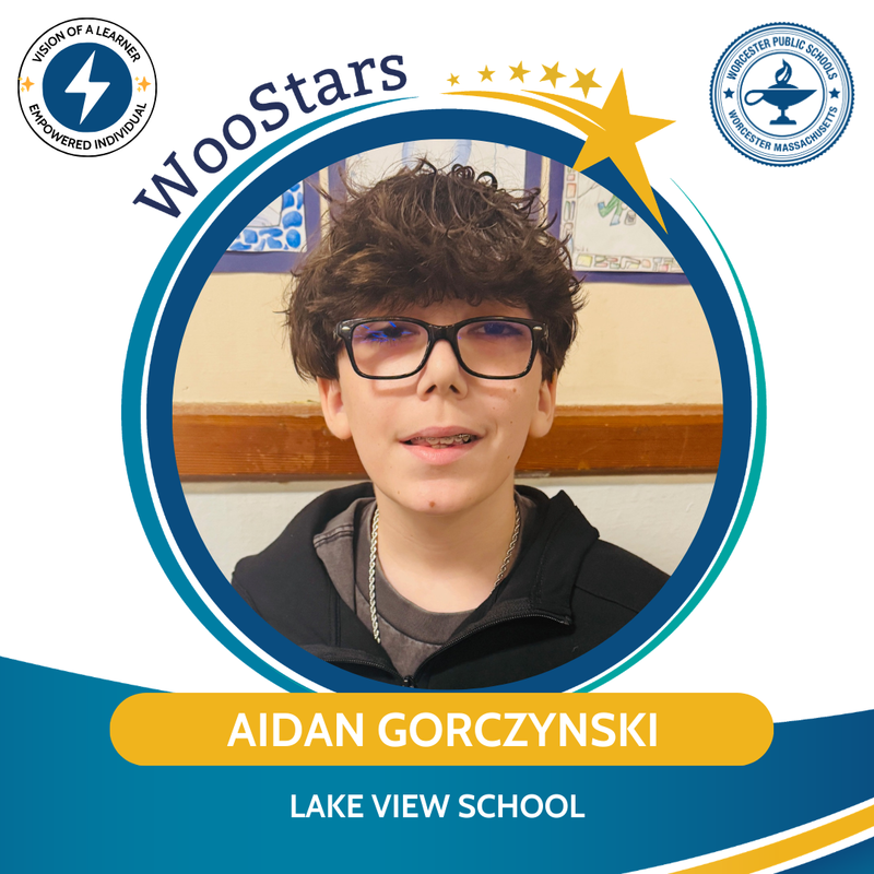 A WooStars graphic of Aidan Gorczynski of Lake View School.