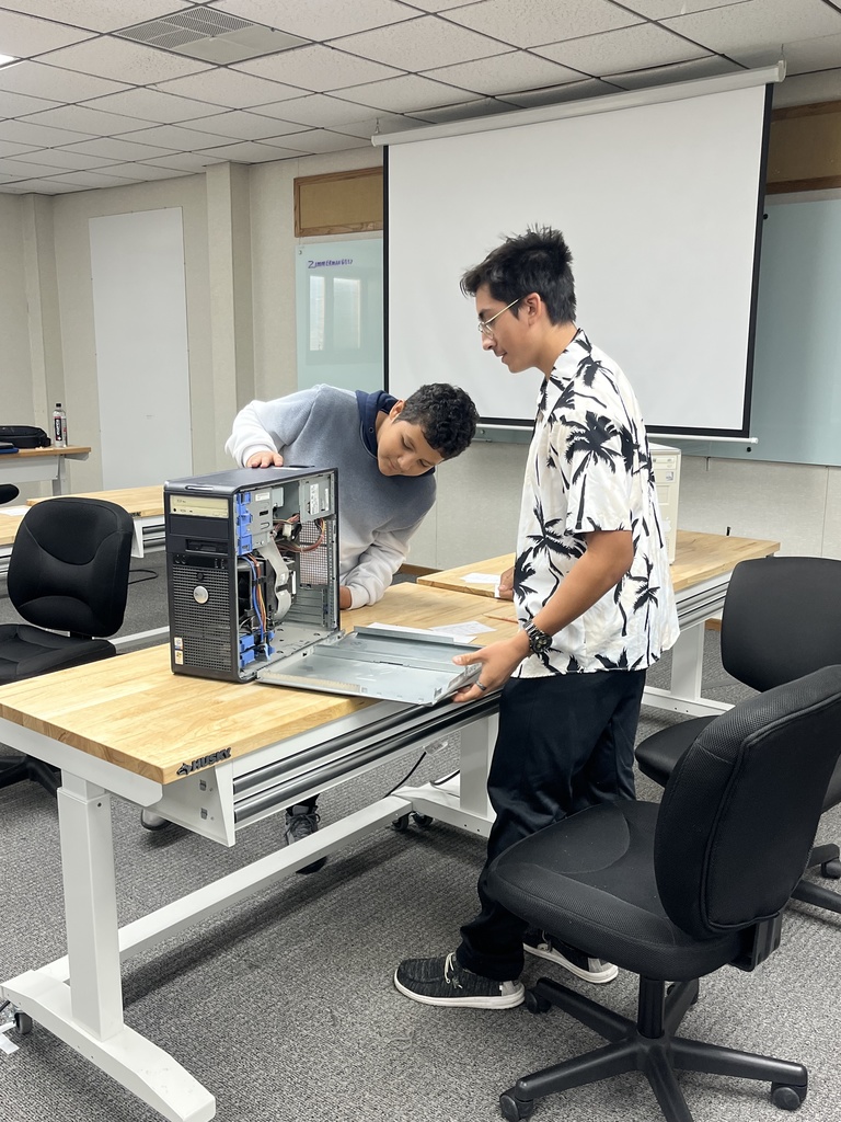 HirePaths Career Hunt