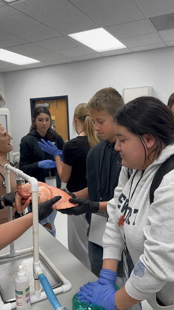 HirePaths Career Hunt