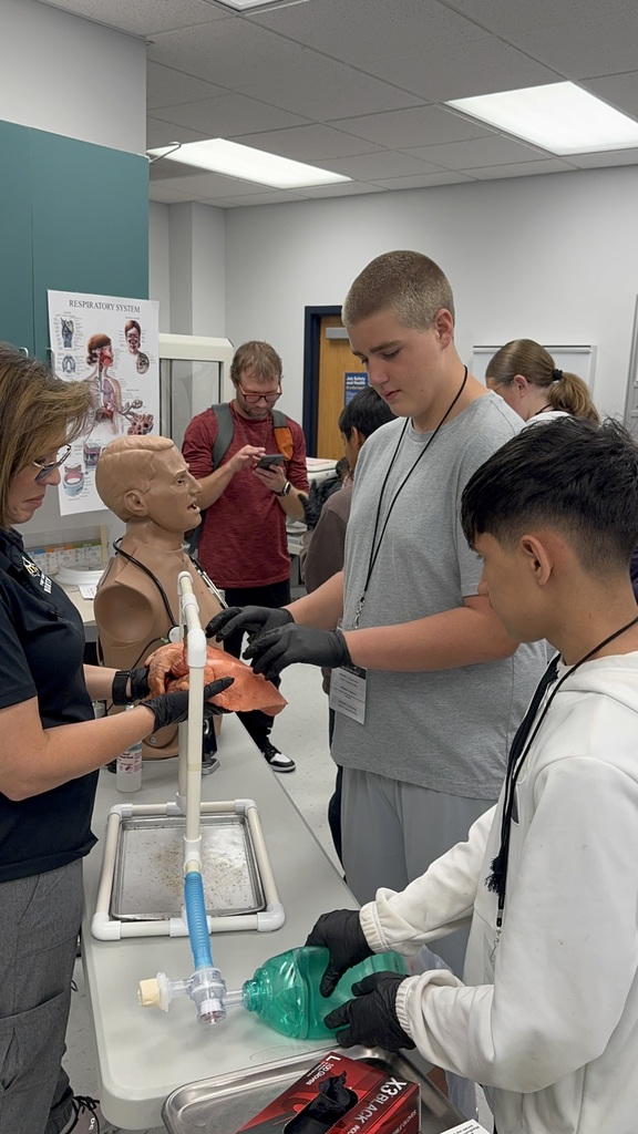 HirePaths Career Hunt