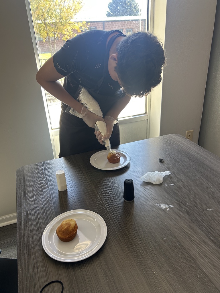 HirePaths Career Hunt