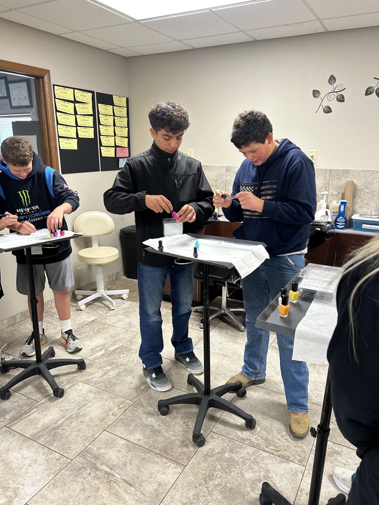 HirePaths Career Hunt