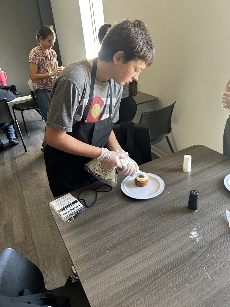 HirePaths Career Hunt