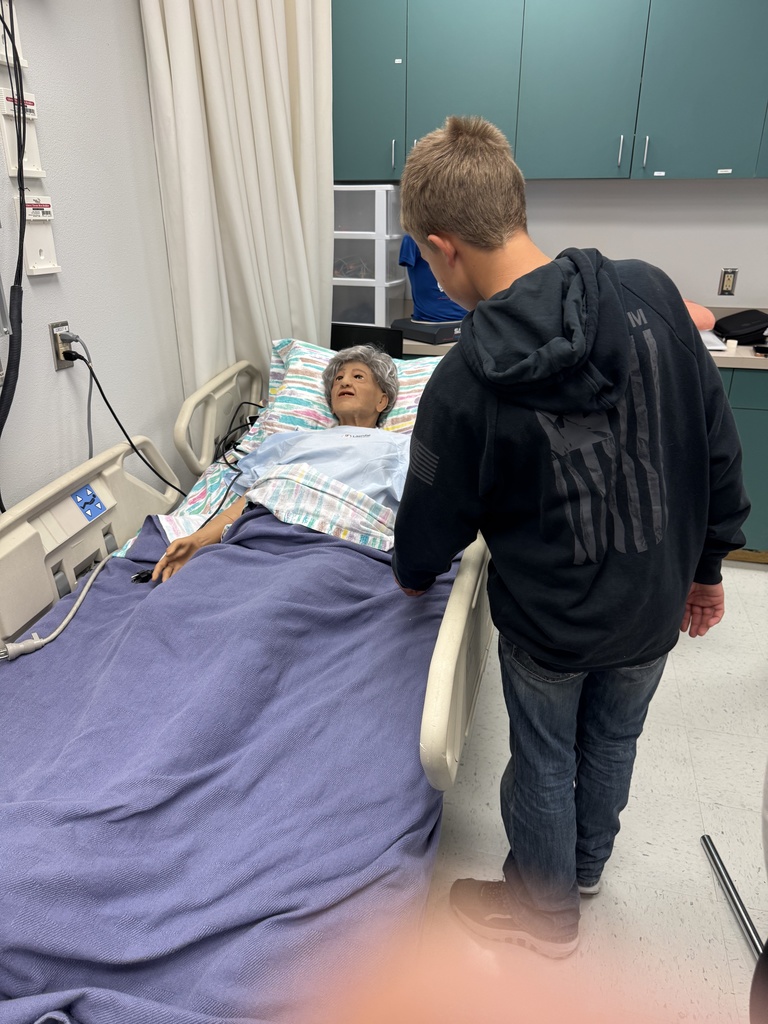 HirePaths Career Hunt