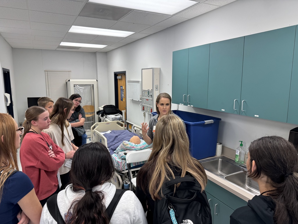 HirePaths Career Hunt