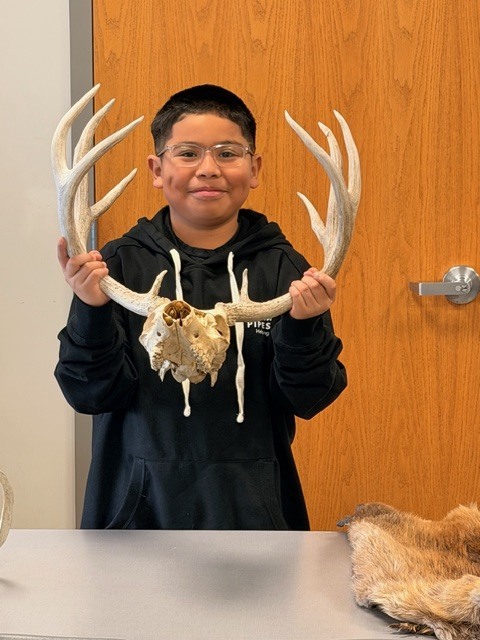 Colorado Wildlife class