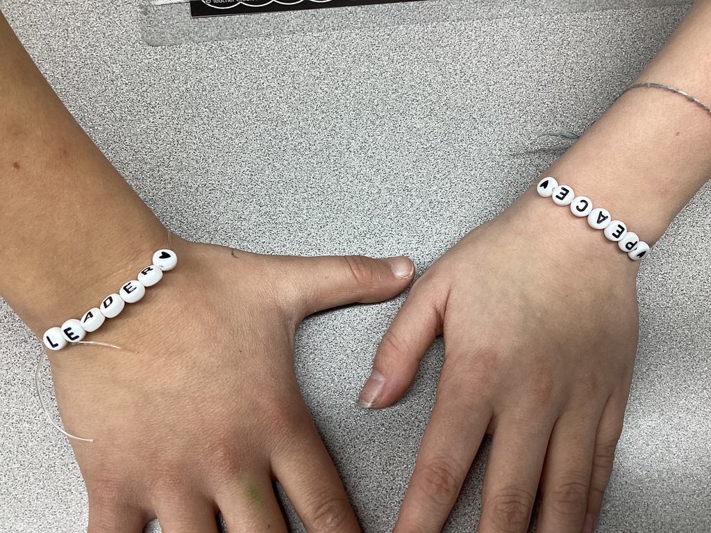 Martin Luther King Jr Lesson