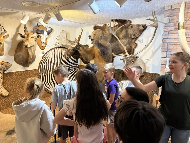 Wray Museum 