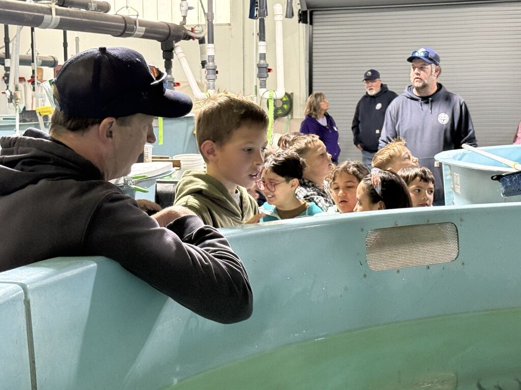 Fish Hatchery