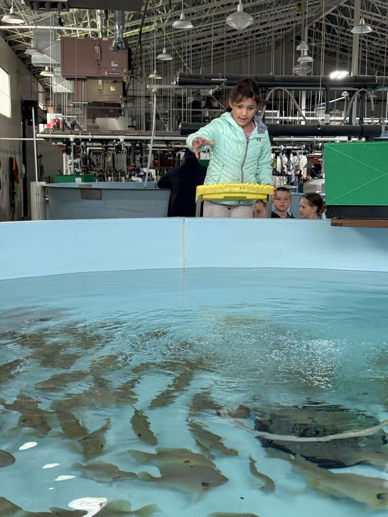 Fish Hatchery