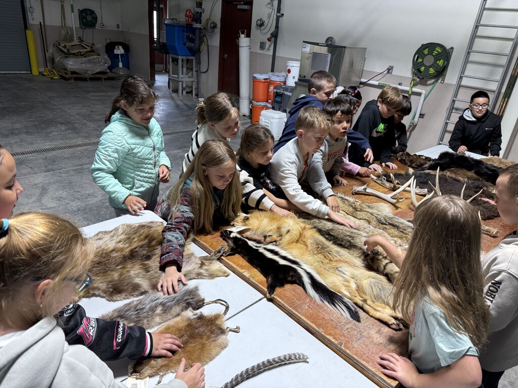 Fish Hatchery
