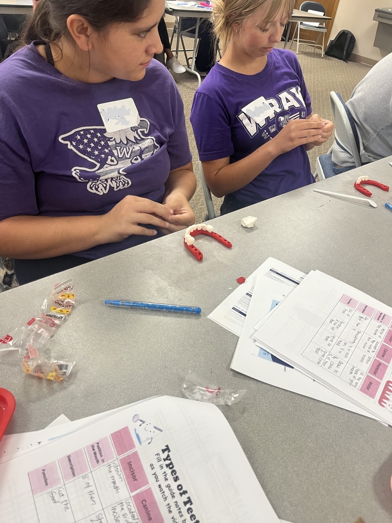 Oral Health Careers Exploration