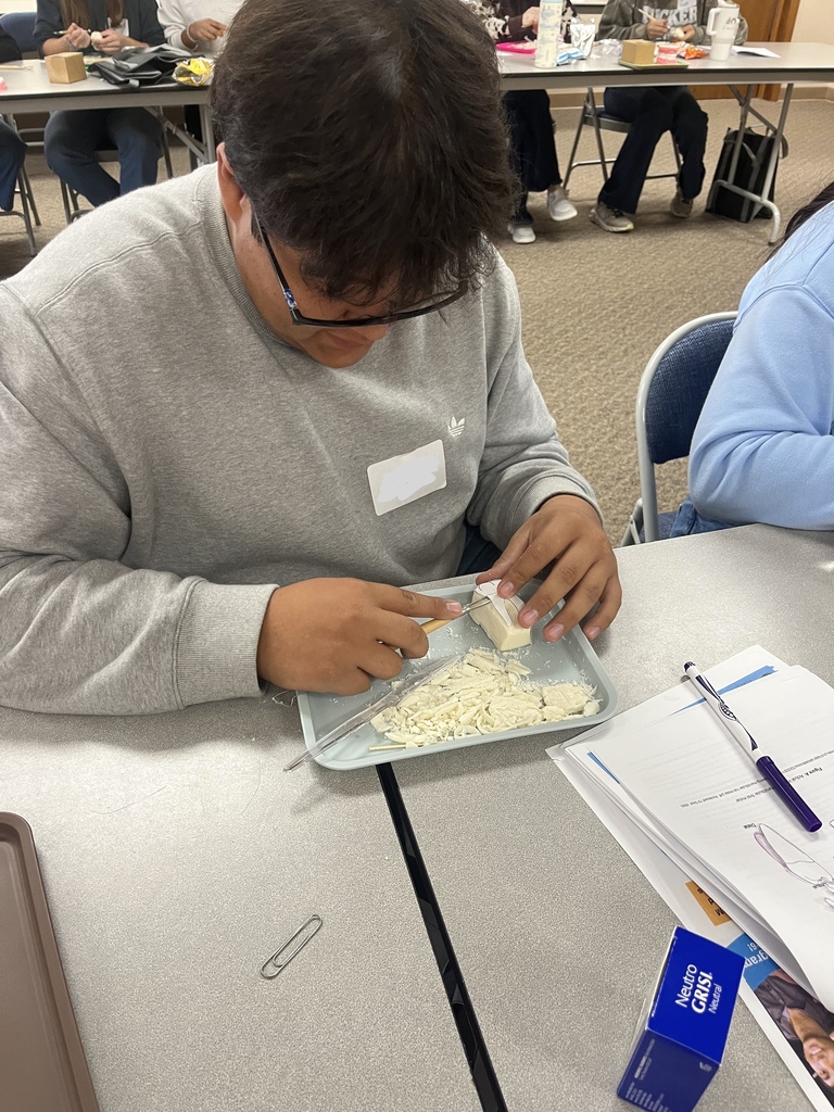 Oral Health Careers Exploration