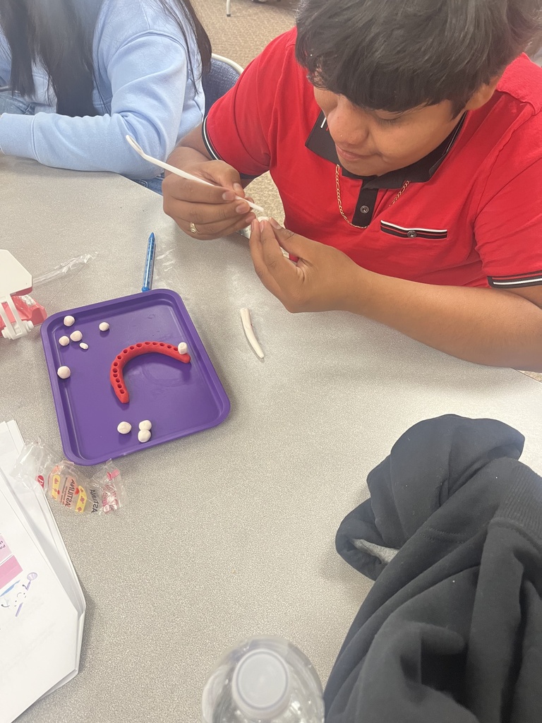 Oral Health Careers Exploration